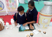  science carnival 2015