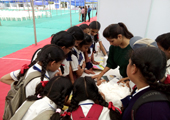  science carnival 2015